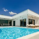 Aura With Heated Pool Donji Proložac